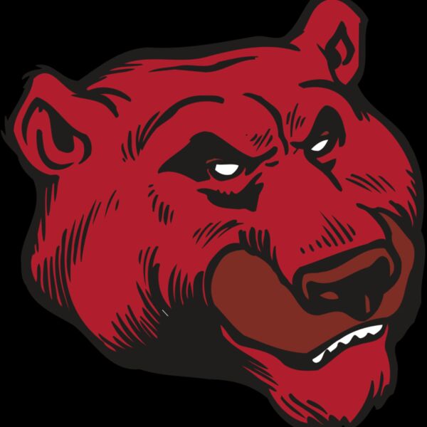 AR BEAR 10 RC Thumbnail