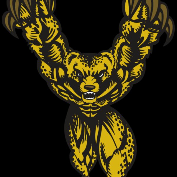 BAW CHEETAH 09 RC Thumbnail