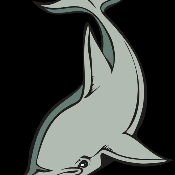 BAW DOLPHIN 01 RC Thumbnail