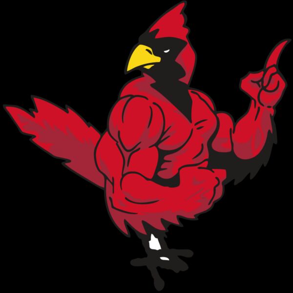 AR CARDINAL 27 RC Thumbnail