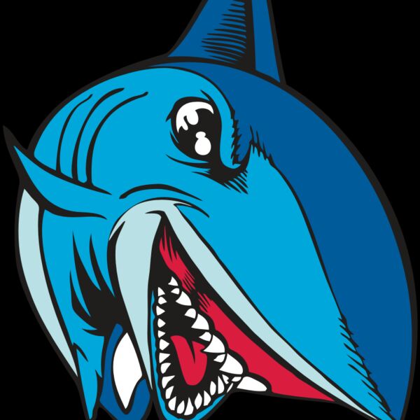 BAW SHARK 02 RC Thumbnail