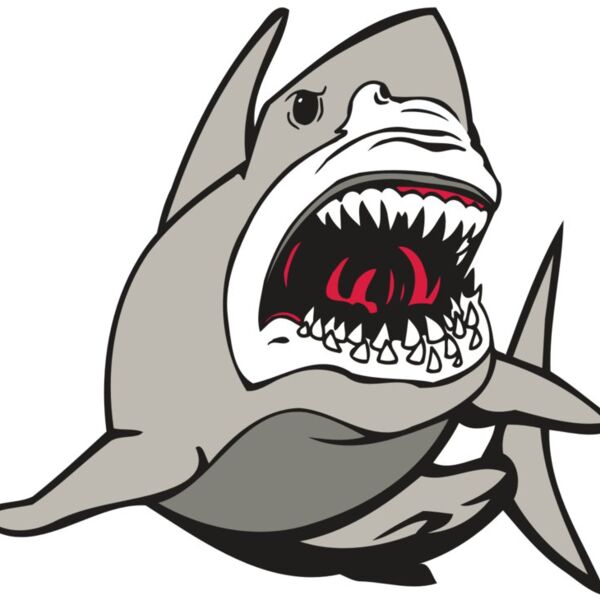 AR5 Shark 07 RQC Thumbnail