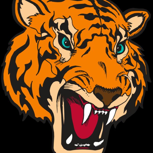 BAW TIGER 12 RC Thumbnail