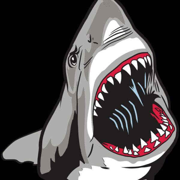 AR20 SHARK 45 RQC Thumbnail