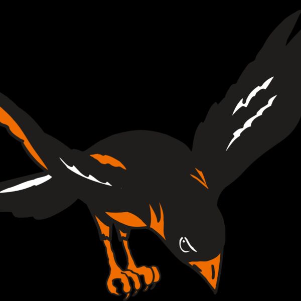 AR ORIOLE 16 RC Thumbnail