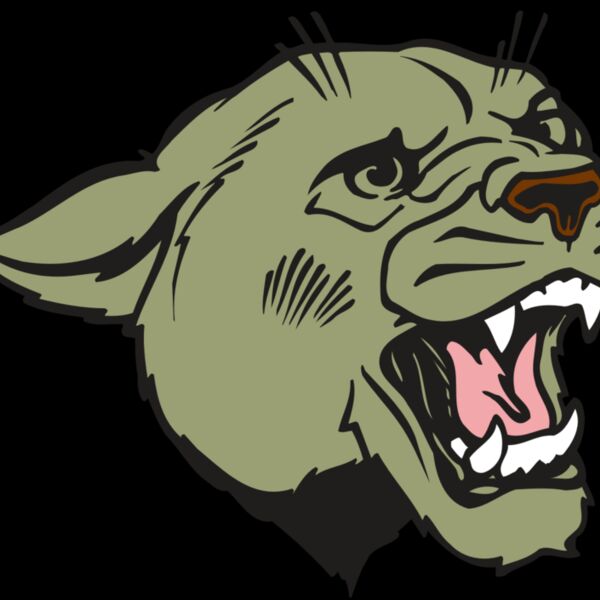 AR COUGAR 40 RC Thumbnail