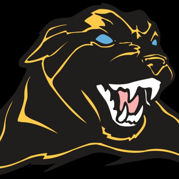 AR COUGAR 42 RC Thumbnail
