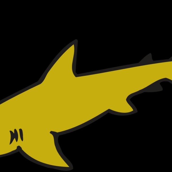 AR  SHARK 31 RC Thumbnail