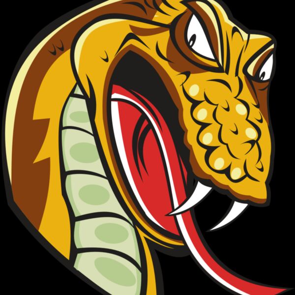 SNAKE HD0502 RQC Thumbnail