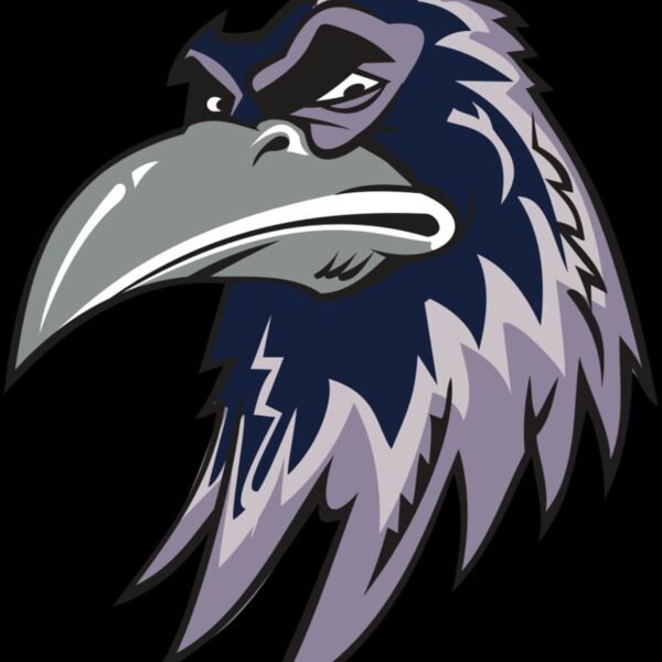 RAVEN HD0501 RQC Thumbnail