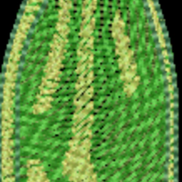 NZ922 Thumbnail