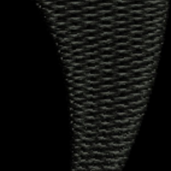372597 Thumbnail